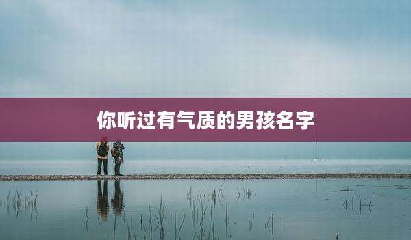 你听过有气质的男孩名字