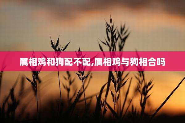 属相鸡和狗配不配,属相鸡与狗相合吗