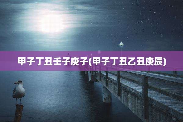 甲子丁丑壬子庚子(甲子丁丑乙丑庚辰)