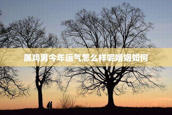 属鸡男今年运气怎么样呢婚姻如何