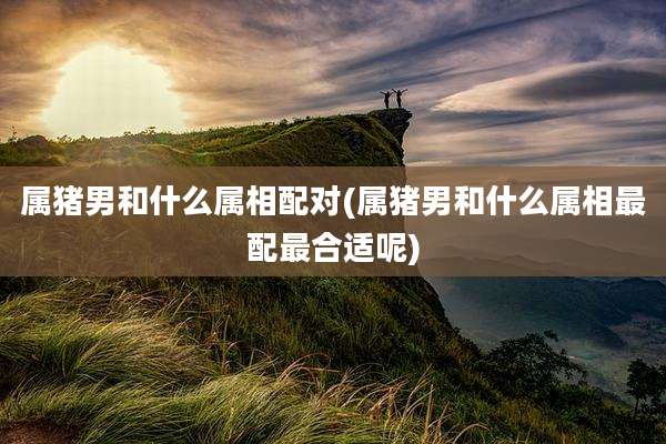 属猪男和什么属相配对(属猪男和什么属相最配最合适呢)