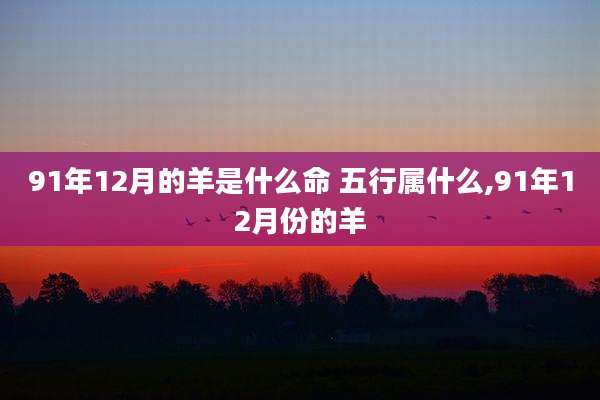 91年12月的羊是什么命 五行属什么,91年12月份的羊