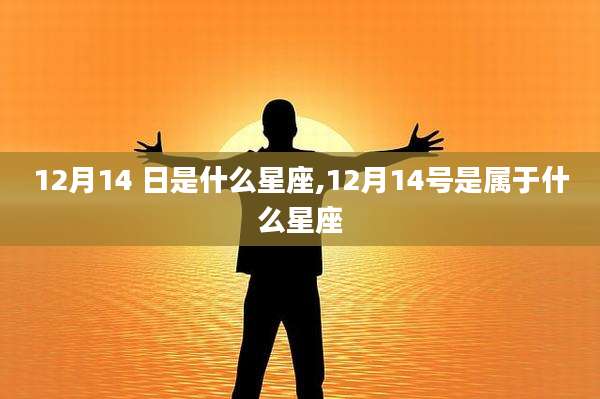 12月14 日是什么星座,12月14号是属于什么星座