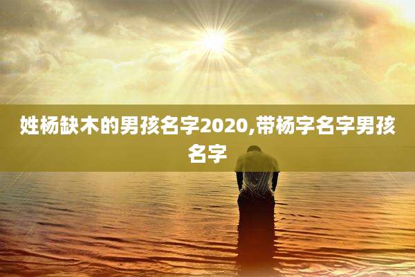 姓杨缺木的男孩名字2020,带杨字名字男孩名字