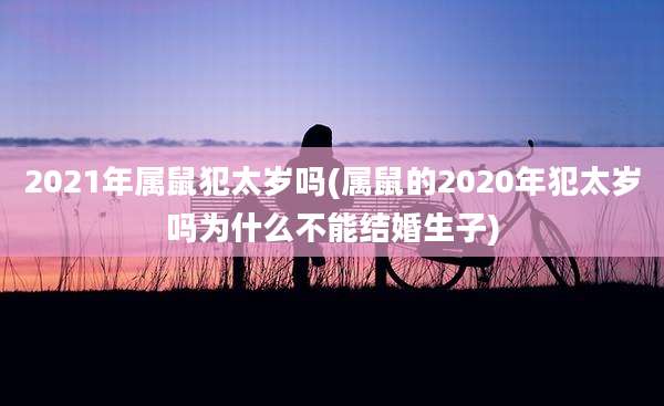 2021年属鼠犯太岁吗(属鼠的2020年犯太岁吗为什么不能结婚生子)