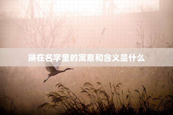 琳在名字里的寓意和含义是什么