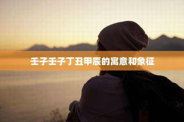 壬子壬子丁丑甲辰的寓意和象征