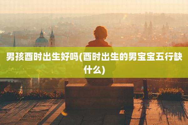 男孩酉时出生好吗(酉时出生的男宝宝五行缺什么)