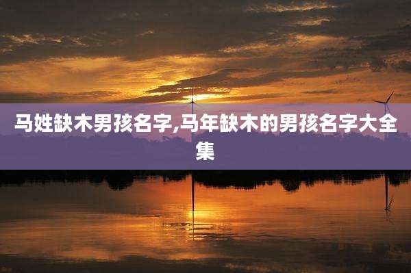 马姓缺木男孩名字,马年缺木的男孩名字大全集
