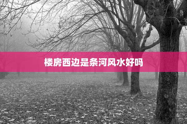 楼房西边是条河风水好吗