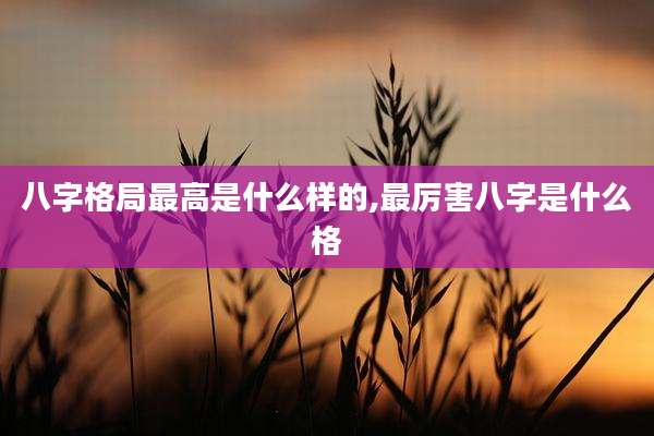 八字格局最高是什么样的,最厉害八字是什么格