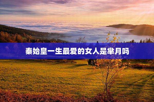 秦始皇一生最爱的女人是芈月吗