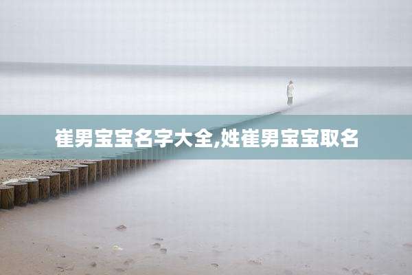 崔男宝宝名字大全,姓崔男宝宝取名