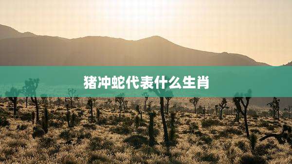 猪冲蛇代表什么生肖