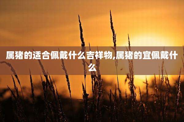 属猪的适合佩戴什么吉祥物,属猪的宜佩戴什么