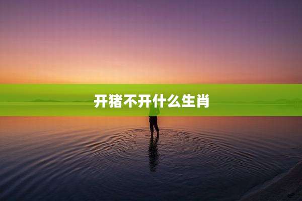 开猪不开什么生肖