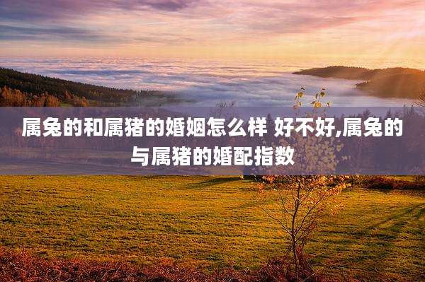 属兔的和属猪的婚姻怎么样 好不好,属兔的与属猪的婚配指数