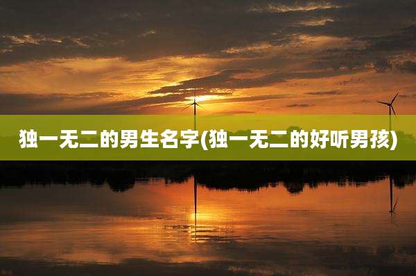 独一无二的男生名字(独一无二的好听男孩)
