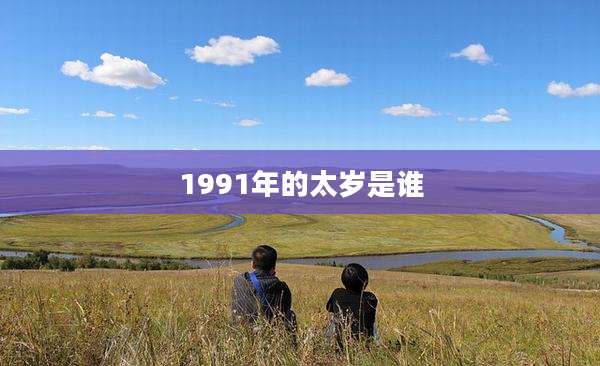 1991年的太岁是谁