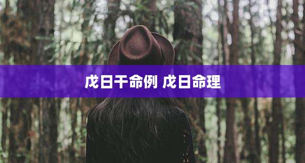 戊日干命例 戊日命理