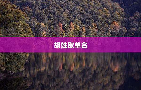 胡姓取单名