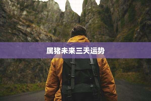 属猪未来三天运势