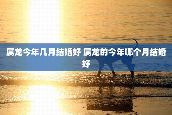 属龙今年几月结婚好 属龙的今年哪个月结婚好