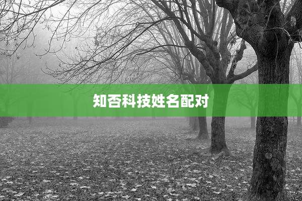 知否科技姓名配对