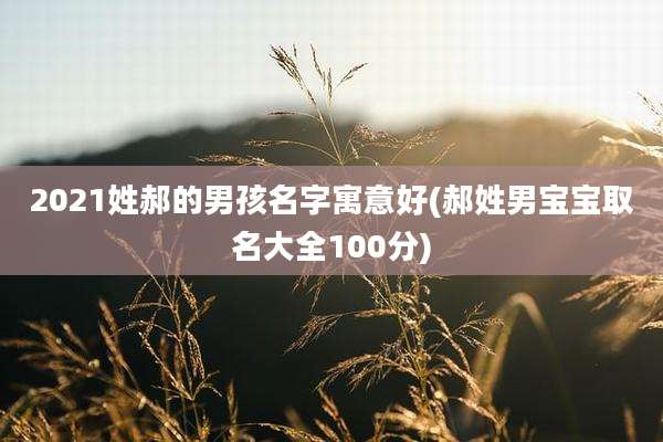2021姓郝的男孩名字寓意好(郝姓男宝宝取名大全100分)