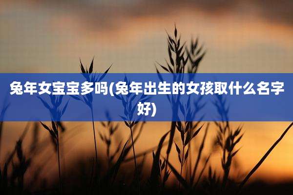 兔年女宝宝多吗(兔年出生的女孩取什么名字好)