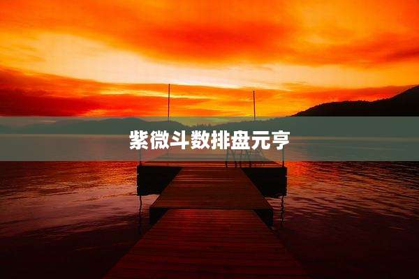 紫微斗数排盘元亨