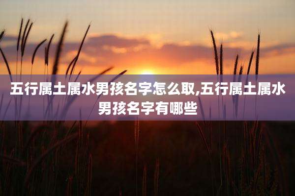 五行属土属水男孩名字怎么取,五行属土属水男孩名字有哪些