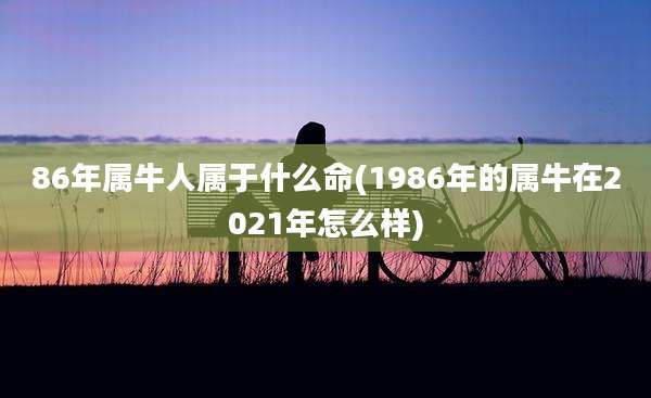 86年属牛人属于什么命(1986年的属牛在2021年怎么样)
