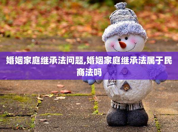 婚姻家庭继承法问题,婚姻家庭继承法属于民商法吗