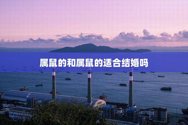 属鼠的和属鼠的适合结婚吗