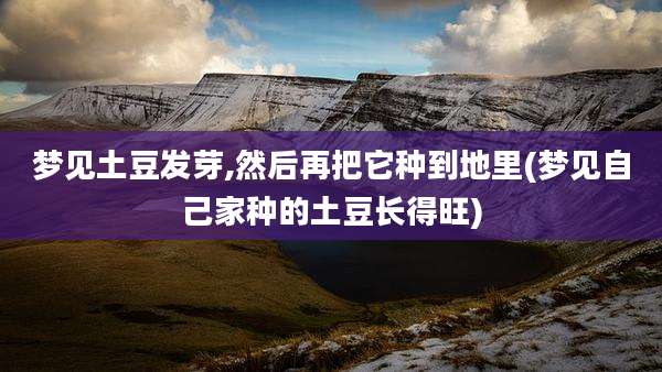 梦见土豆发芽,然后再把它种到地里(梦见自己家种的土豆长得旺)