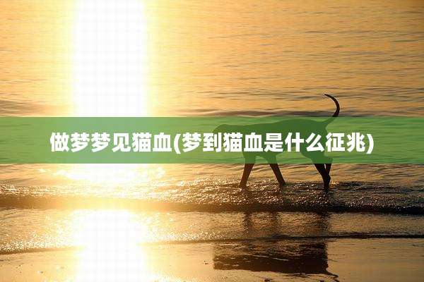 做梦梦见猫血(梦到猫血是什么征兆)