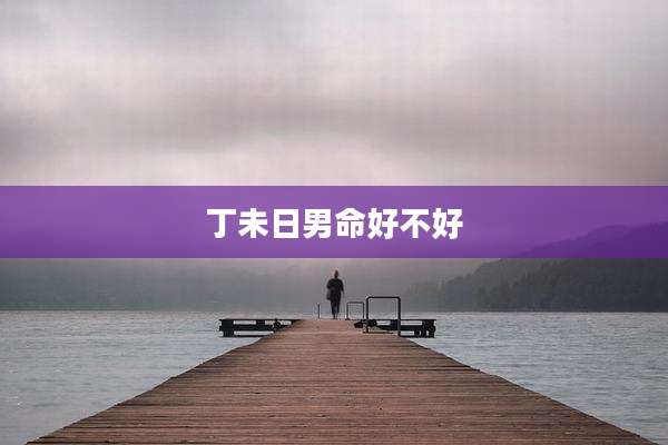 丁未日男命好不好