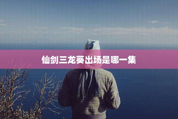 仙剑三龙葵出场是哪一集