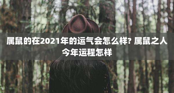 属鼠的在2021年的运气会怎么样? 属鼠之人今年运程怎样
