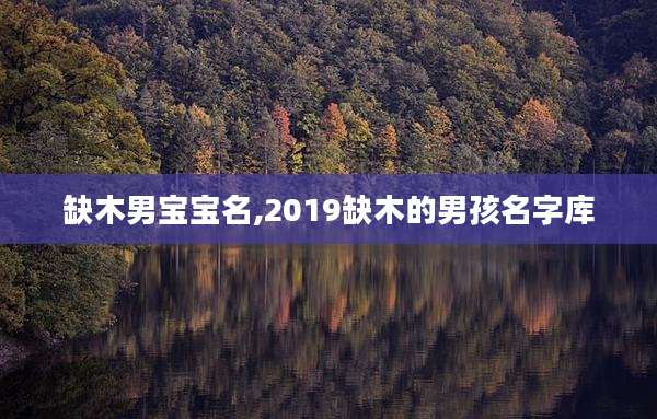 缺木男宝宝名,2019缺木的男孩名字库