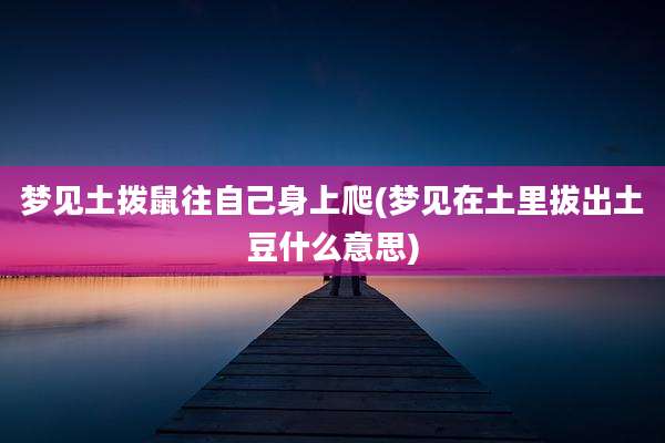 梦见土拨鼠往自己身上爬(梦见在土里拔出土豆什么意思)