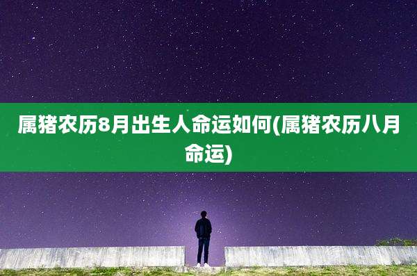 属猪农历8月出生人命运如何(属猪农历八月命运)