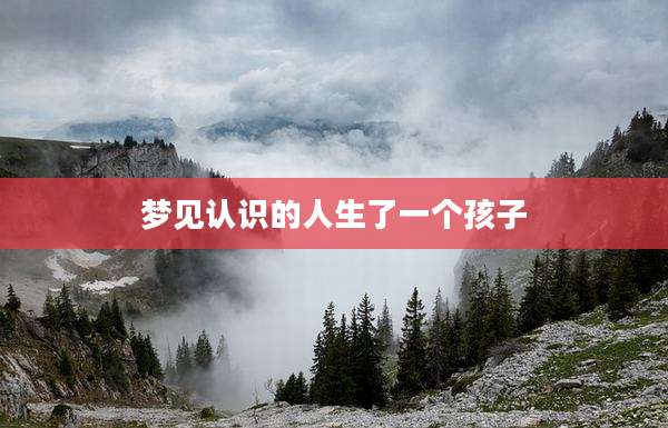 梦见认识的人生了一个孩子