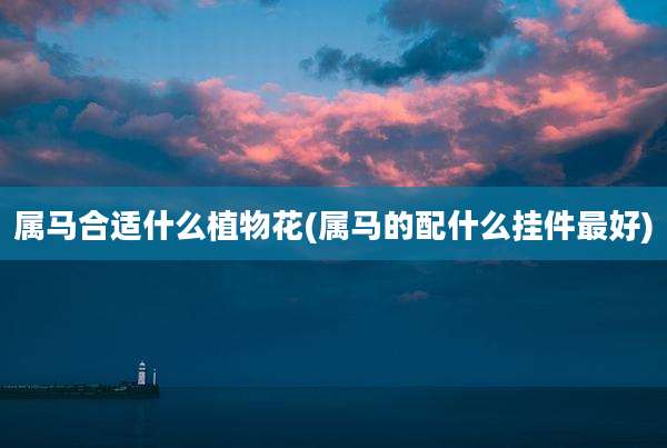 属马合适什么植物花(属马的配什么挂件最好)