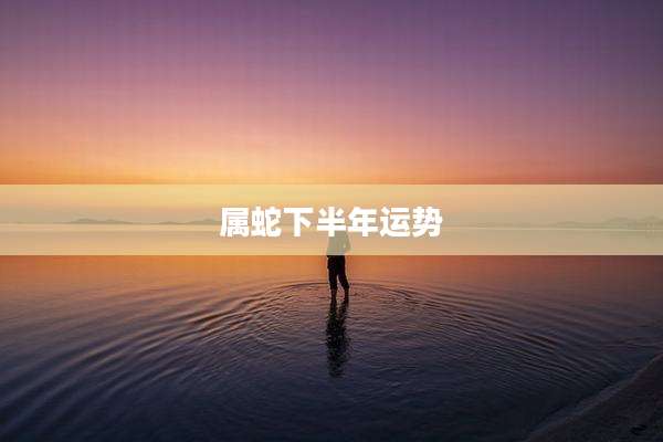 属蛇下半年运势