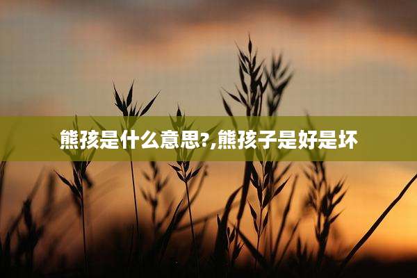 熊孩是什么意思?,熊孩子是好是坏