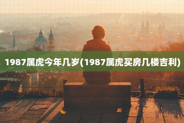1987属虎今年几岁(1987属虎买房几楼吉利)