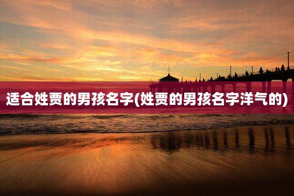 适合姓贾的男孩名字(姓贾的男孩名字洋气的)