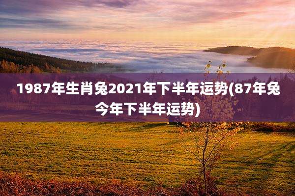 1987年生肖兔2021年下半年运势(87年兔今年下半年运势)